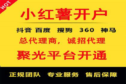 金融行业SEM服务的创新应用与效果